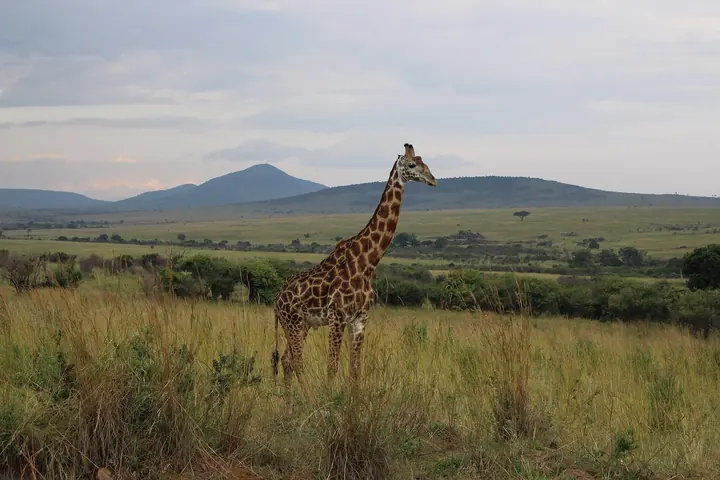 Kenya